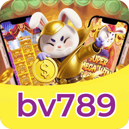 Métodos de pagamento aceitos na bv789